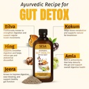 sesa-ayurvedic-gut-health-detox-shot-500-61LVuDq52bL.jpg