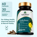 gokshura-extract-capsules-ayurvedic-trib-71jS2AyHj4L.jpg