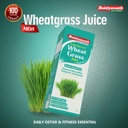 baidyanath-wheatgrass-juice-1l-natural-l-61dvS3Ng2lL.jpg