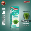 baidyanath-wheatgrass-juice-1l-natural-l-616fjgjLbeL.jpg