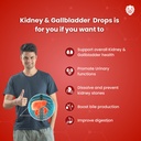 healeo-kidney-gallbladder-stone-braker-c-719Y7f30RGL.jpg