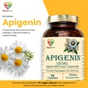 apigenin-100-mg-chamomile-extract-supple-61T+RR-CVvL.jpg