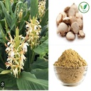 iagrifarm-kapoor-kachri-powder-950-g-spi-71WM9k+EJJL.jpg
