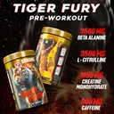 strong-nation-tiger-fury-pre-workout-pow-711muakjz9L.jpg