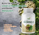 yash-herbal-moringa-30-capsules-green-su-71P7ErPSlkL.jpg