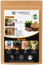 naturals-organic-jamun-seed-powder-100g--71cJX-dokSL.jpg