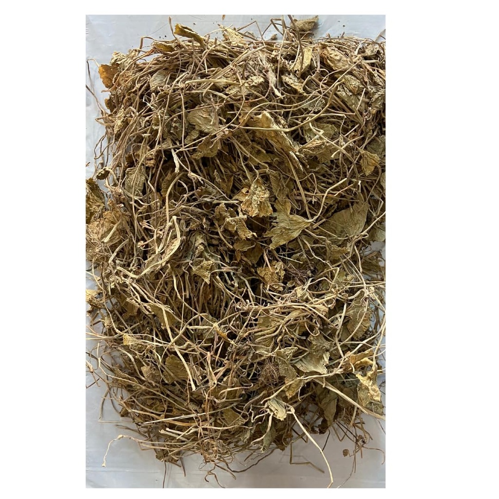 brahmi-leaves-raw-100-g-jal-brahmi-bacop-71gJ10HSI+L.jpg