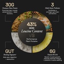 ace-blend-intense-30g-plant-protein-supp-71APpdYf6pL.jpg