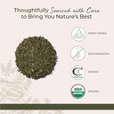 starwest-botanicals-organic-nettle-leaf--4.jpg