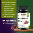 setnutra-trans-resveratrol-800mg-with-qu-61Xu+sYDIJL.jpg