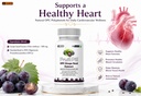 leewell-opc-grape-seed-extract-500mg-wit-71spDCSOXuL.jpg