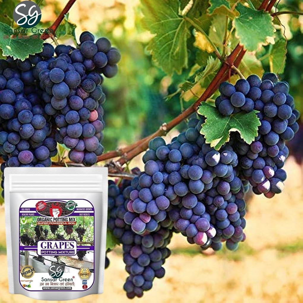 sansar-green-grapes-potting-mixture-esse-712ODFDgBZL.jpg