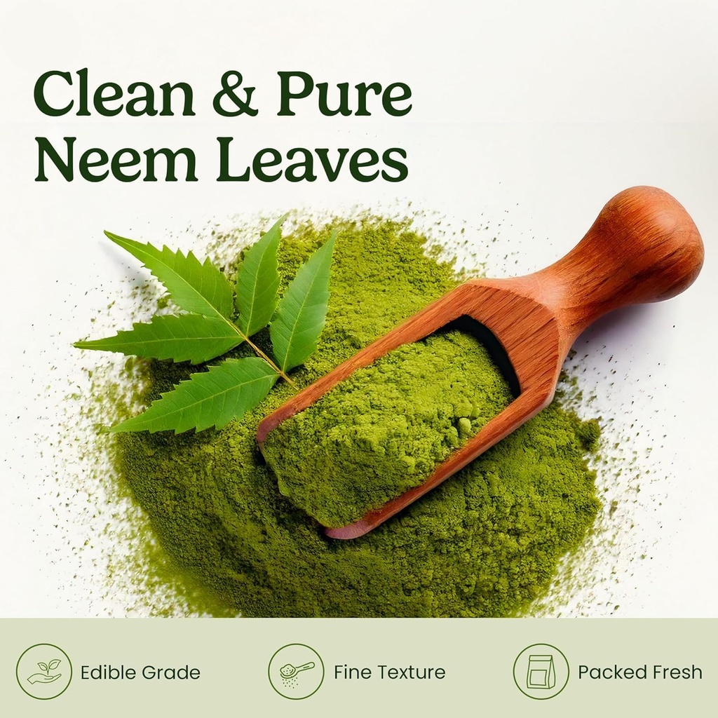naturals-organic-dried-neem-leaves-100g--81LAOvHOeBL.jpg