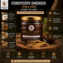 mushroom-essence-cordyceps-sinensis-sele-81yaZ2-KtuL.jpg