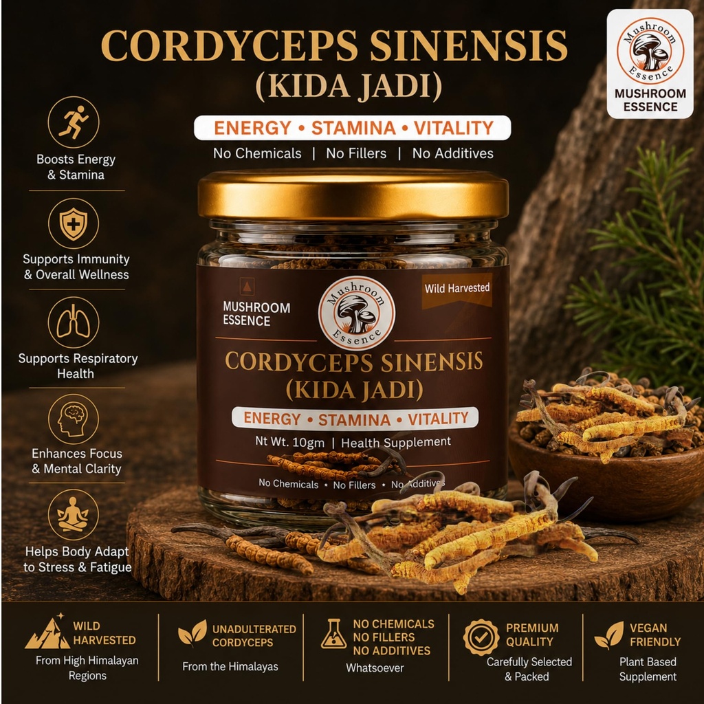 mushroom-essence-cordyceps-sinensis-sele-81DfG8a9WrL.jpg