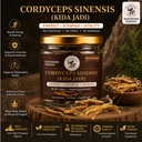 mushroom-essence-cordyceps-sinensis-sele-81DfG8a9WrL.jpg