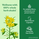 a-tata-product-organic-india-pure-gokshu-61Kmu8ad6EL.jpg