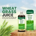 baidyanath-ayurved-wheatgrass-juice-1-li-71mpDf7fzML.jpg