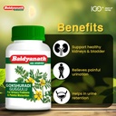 baidyanath-gokshuradi-guggulu-80-tablets-61uaYnpl7rL.jpg