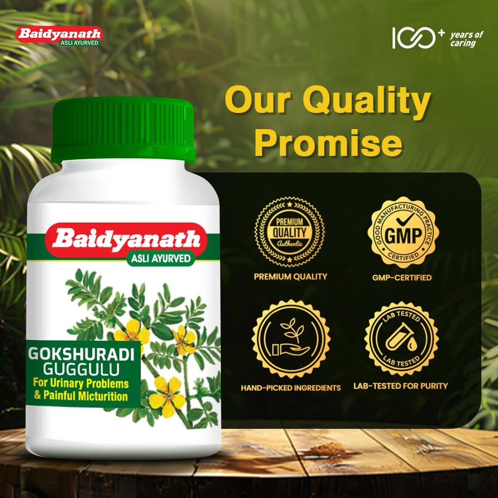 baidyanath-gokshuradi-guggulu-80-tablets-71OPc1E0K8L.jpg