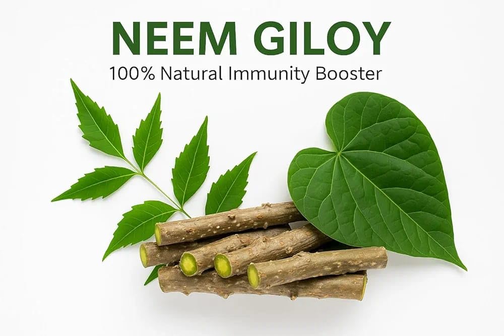 neem-giloy-stick-370-gram-organic-guduch-51M5sJ-HRxL.jpg