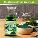 vlado-s-himalayan-organics-100-spirulina-71BfpWCX70L.jpg