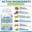 sea-moss-for-dogs-750mg-black-seed-oil-5-3.jpg