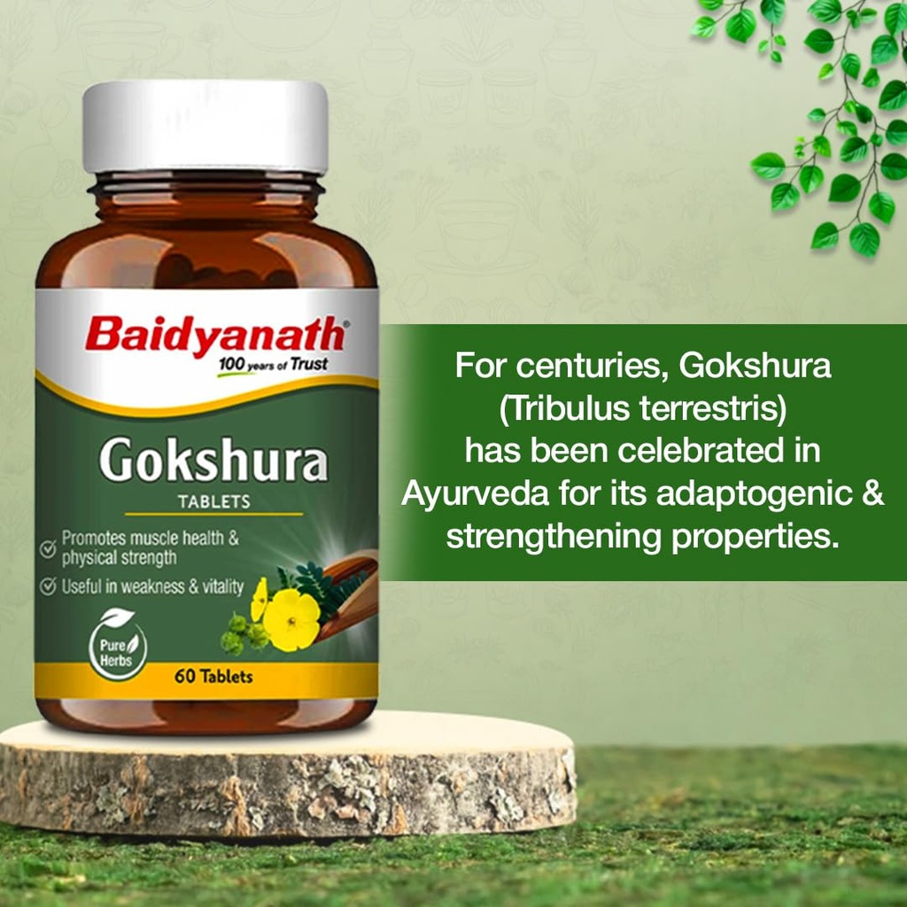 baidyanath-ayurved-gokshura-60-tablets-s-61eMCjpHNyL.jpg