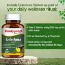 baidyanath-ayurved-gokshura-60-tablets-s-61RCA9IEEML.jpg