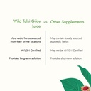 kapiva-wild-tulsi-giloy-juice-1l-ayurved-51d8jlpnG2L.jpg