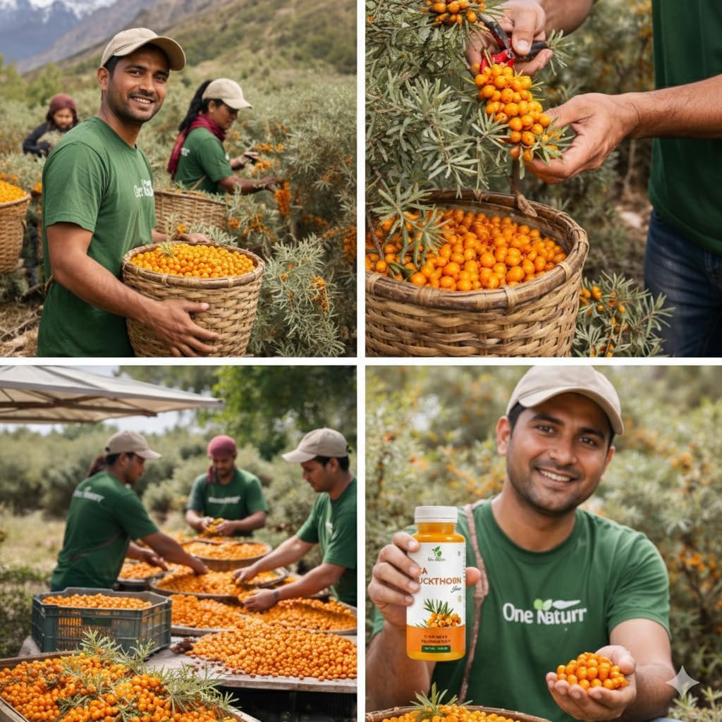 one-naturr-sea-buckthorn-juice-himalayan-715vIpQjPAL.jpg