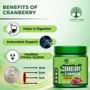 vruksha-vitals-cranberry-d-mannose-120-t-613jN1vdJ3L.jpg