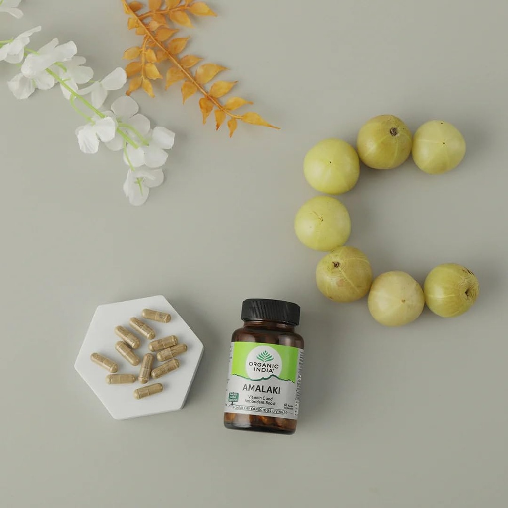 a-tata-product-organic-india-amalaki-60--51v1QljnNDL.jpg