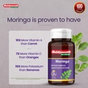 baidyanath-moringa-60-tablets-pack-of-2--81hWRTys+zL.jpg