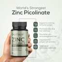 zinc-picolinate-50-mg-high-absorption-ch-61D6BYULi7L.jpg