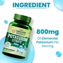 vlado-s-himalayan-organics-potassium-cit-717essK8mdL.jpg