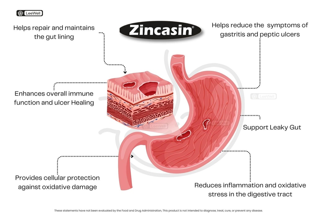 zincasin-leewell-zinc-carnosine-tablets--71eNdpKUTsL.jpg
