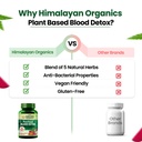 vlado-s-himalayan-organics-blood-detox-b-61VgijLD6+L.jpg