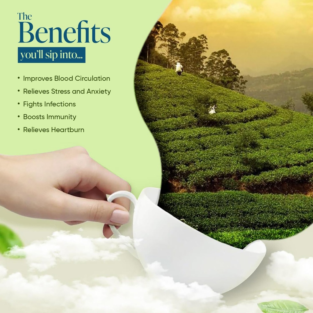 winty-ginger-lemongrass-green-tea-30-tea-71+1L3fluCL.jpg