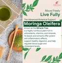 acv-moringa-control-cravings-i-apple-cid-915UM7SO2mL.jpg
