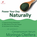 acv-moringa-control-cravings-i-apple-cid-71YSSeIOsML.jpg