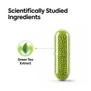 natxtra-green-tea-supplement-supports-fa-51XJYAq4teL.jpg