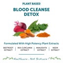 bliss-welness-blood-detox-curcumin-beetr-71EQf5nU0LL.jpg