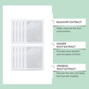 rainspire-mild-care-foot-pads-detox-patc-51hFHIWxDrL.jpg
