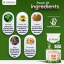 calmaura-shuddhaura-ayurvedic-detox-well-81uPjESxOgL.jpg