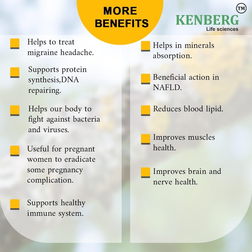 kenberg-gut-detox-prebiotic-powder-180g--61RBW7ZsayL.jpg