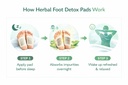 foot-patch-pack-of-2-herbal-and-gentle-i-61DWe60j7VL.jpg