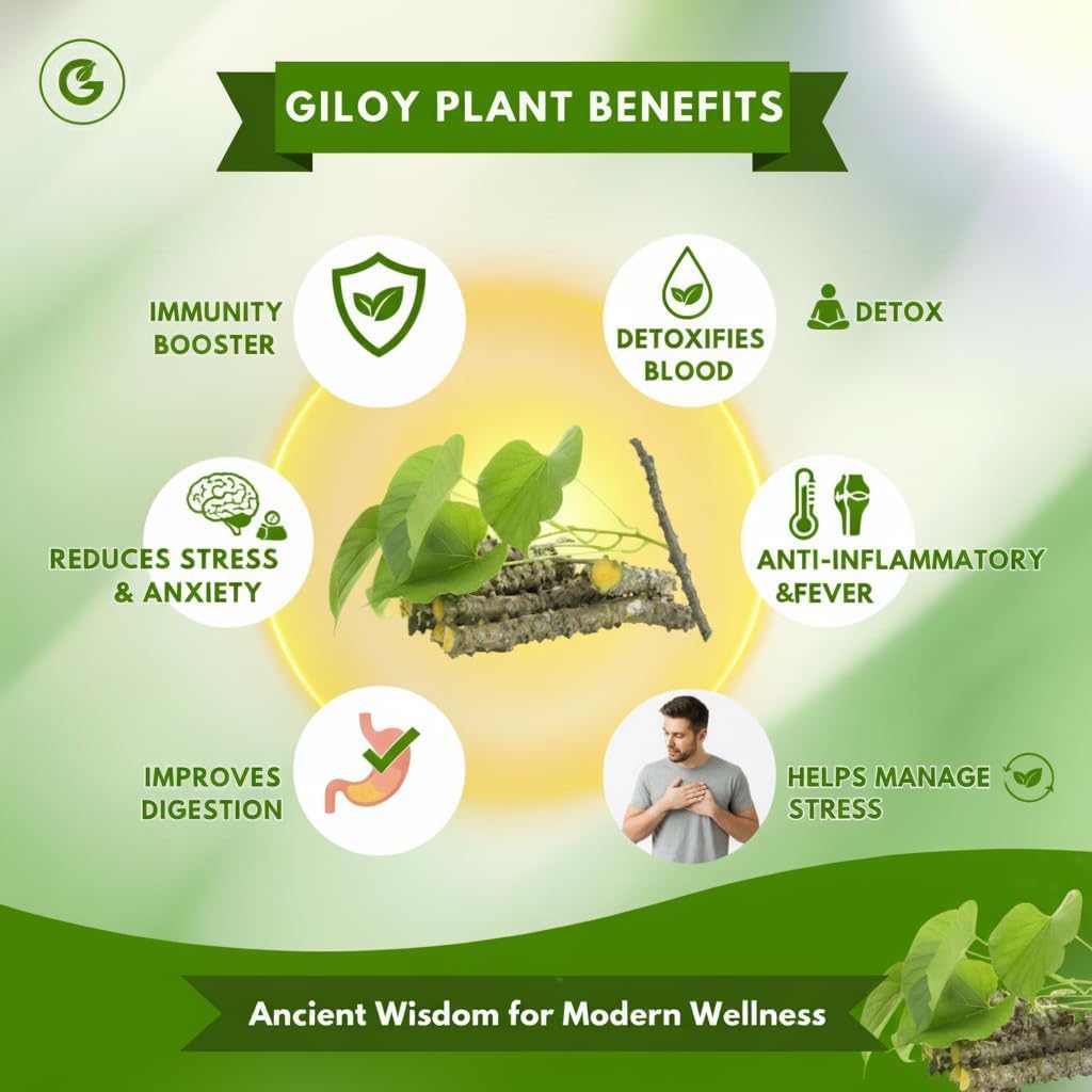 herbal-extract-100-natural-wormwood-leaf-61edNvLR57L.jpg