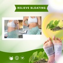 herbal-extract-100-natural-wormwood-leaf-61inrOSzcPL.jpg