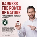 life-aveda-liv-guard-for-fatty-liver-and-81BJ1+c7HFL.jpg